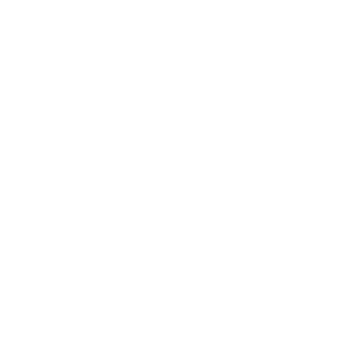 Secure Software Development