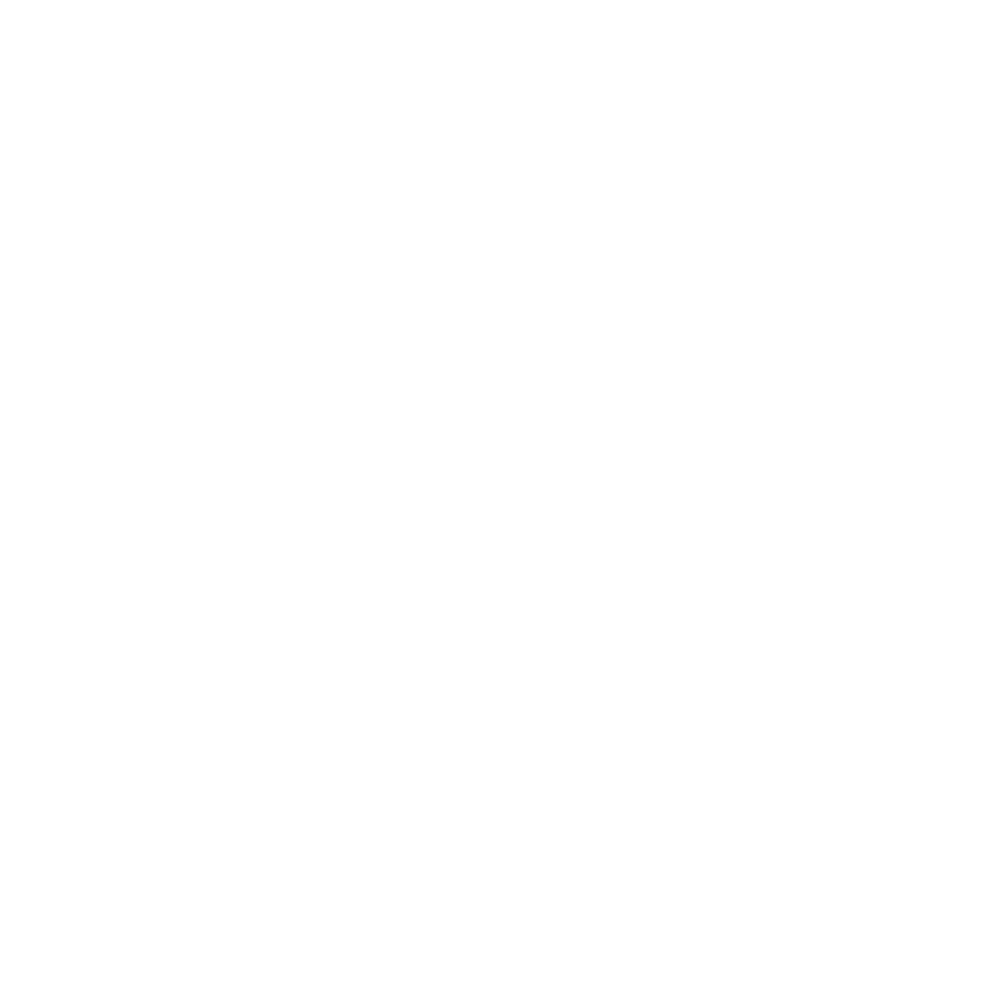 DSGT Logo White